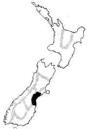 Local Culture Zone, New Zealand